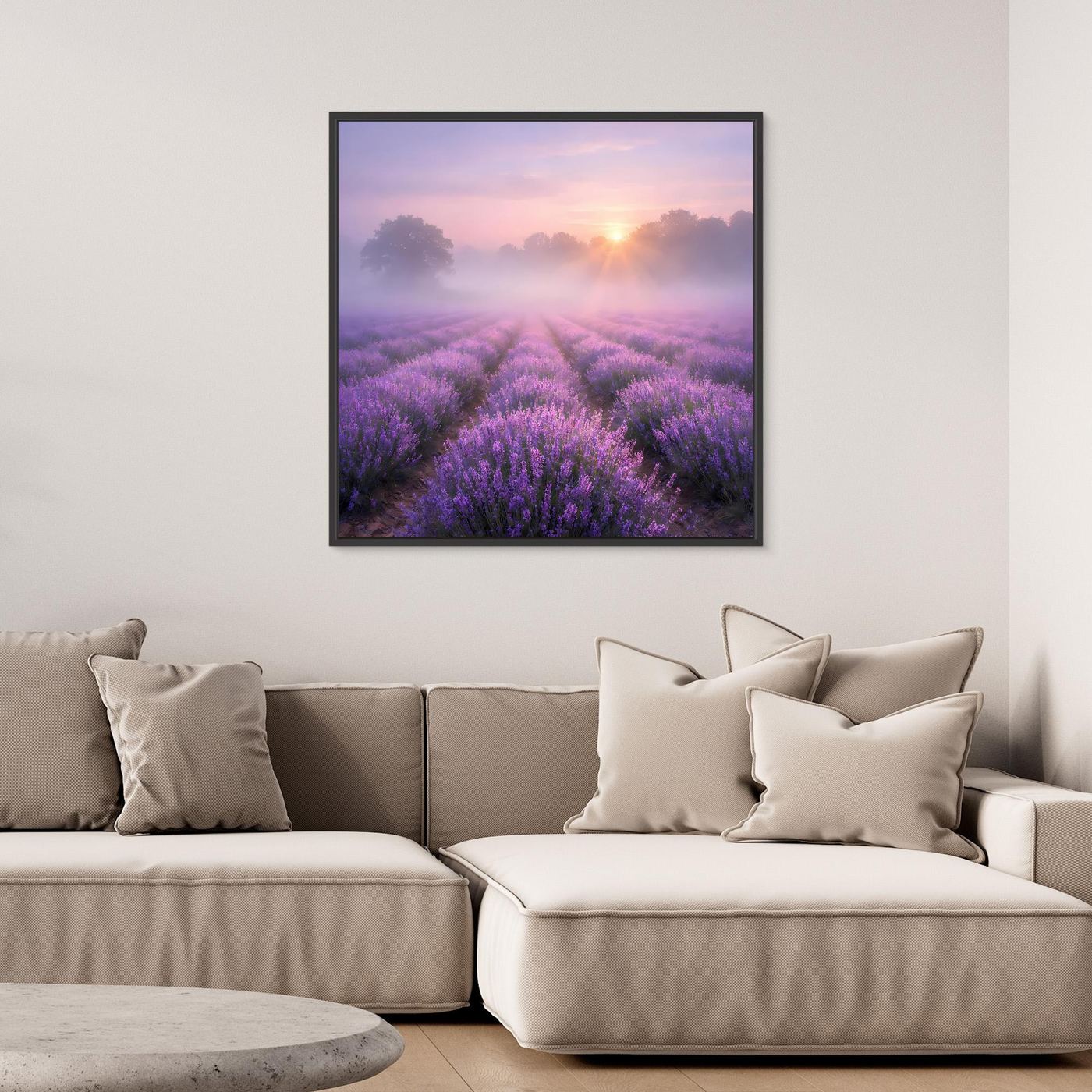 Quadratisches Leinwandbild Lavendelfeld im Nebel mit Sonnenaufgang, schwarzer Rahmen