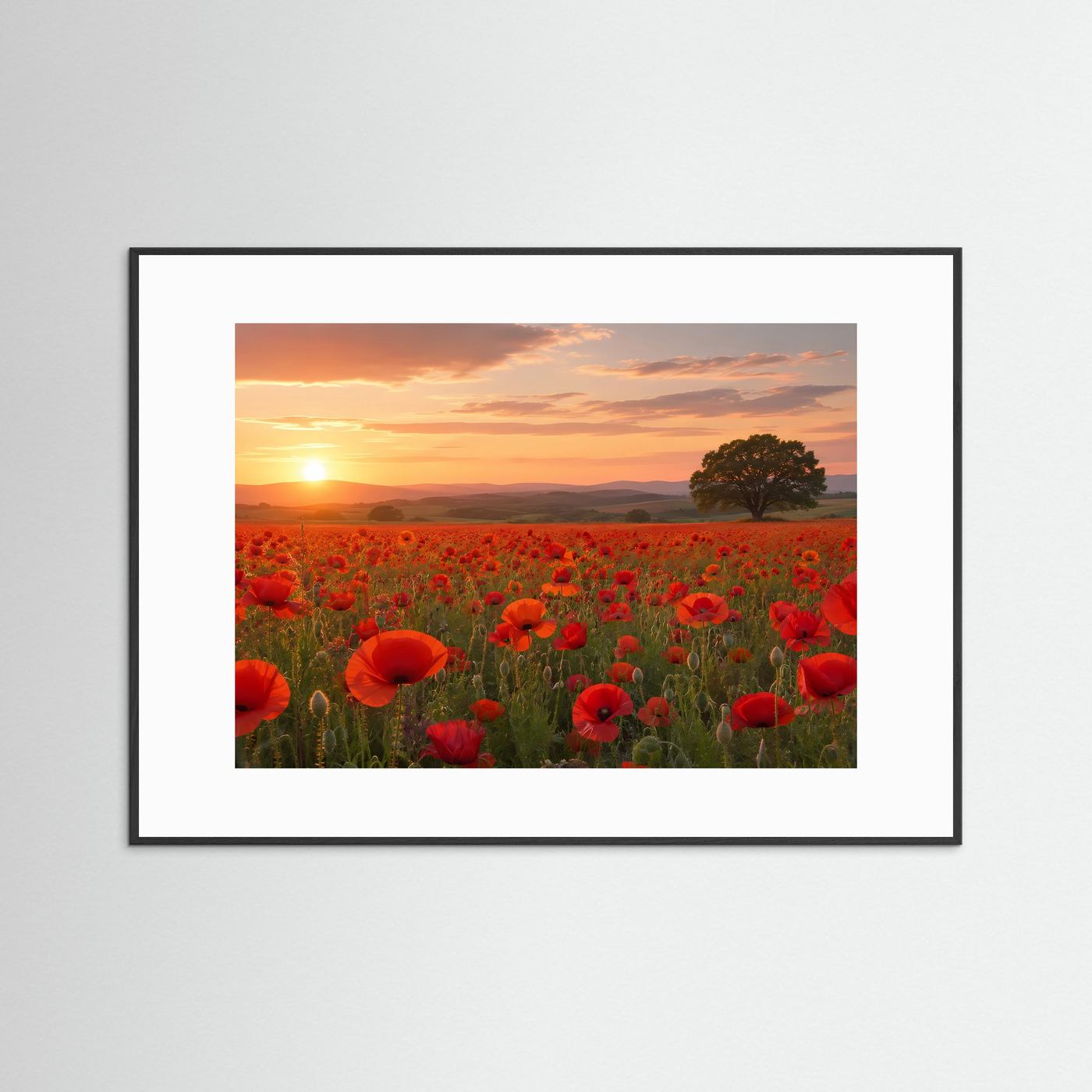 Mohnblumen Poster Querformat | Rotes Mohnfeld bei Sonnenuntergang