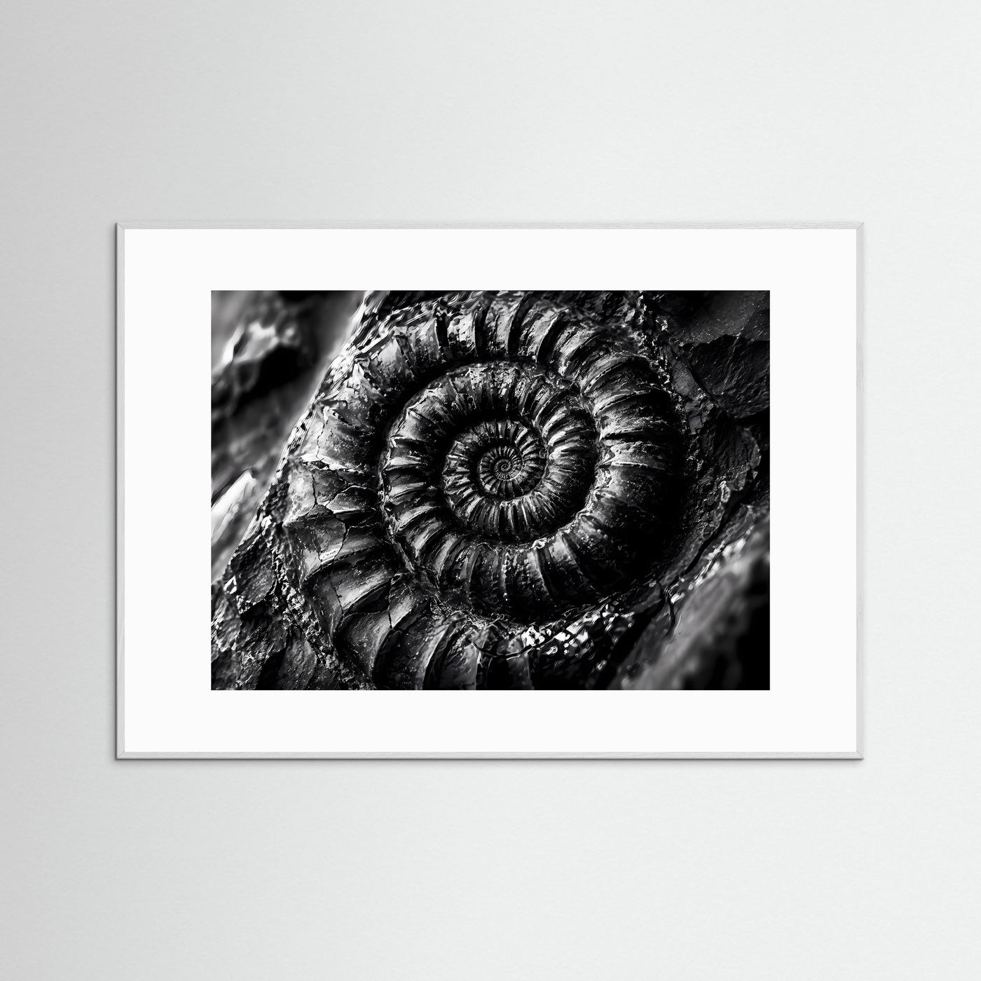 Ammonit Fossil Schwarz Weiß Poster | Makro Fossilien Wandkunst | Monochrome Naturkunst | Geologie Leinwand | Modernes Spiral Fossil Bild