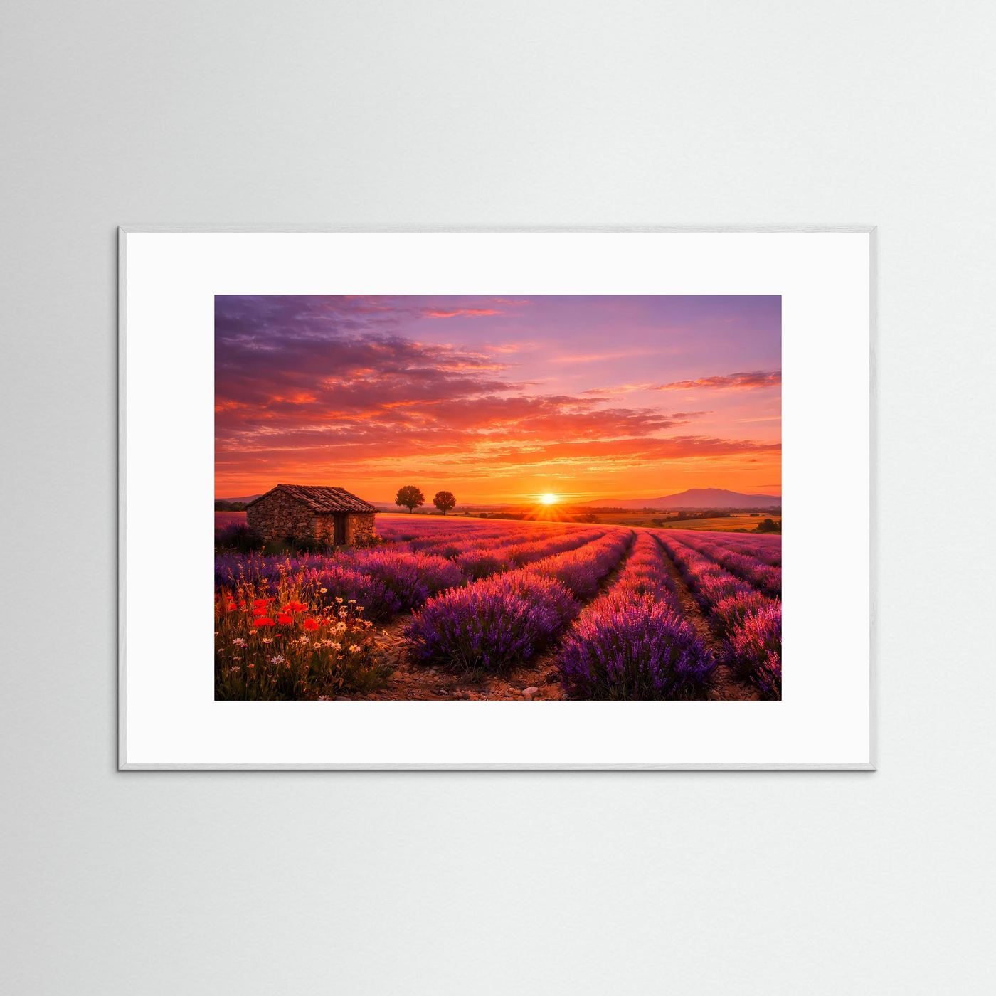 Poster im Querformat mit Lavendelfeld und Steinhütte im Sonnenuntergang, grauer Rahmen